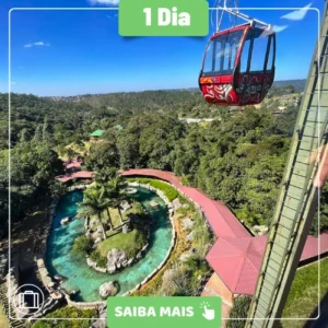 ANIMÁLIA PARK - DIA 08/02/2026