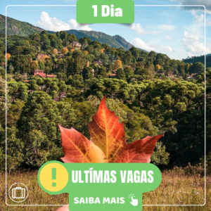 MONTE VERDE - 30/08/2026