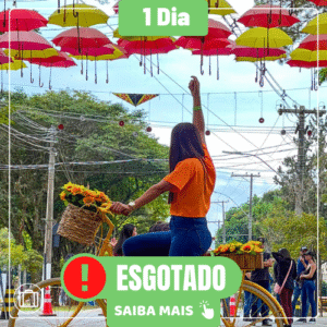 DIA DAS MÃES EM HOLAMBRA - DIA 10/05/2026