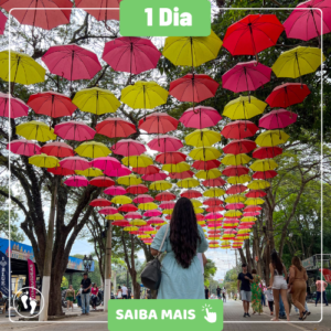 DIA DAS MÃES EM HOLAMBRA - DIA 10/05/2026