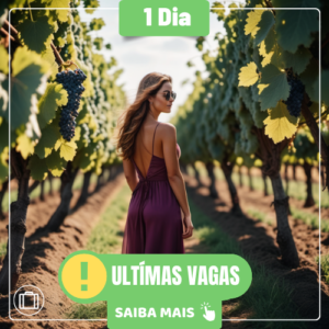 ROTA DO VINHO / SÃO ROQUE - 21/06/2026