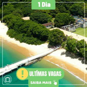 ILHA DA ANCHIETA + ENSEADA / UBATUBA - DIA 30/11/2025