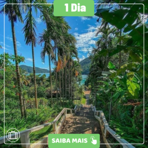 PRAIA DA ENSEADA + SANTA RITA / UBATUBA - DIA 08/11/2026